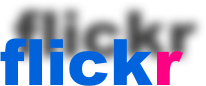  flickr